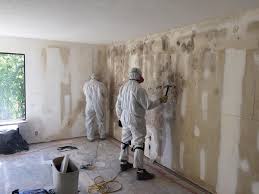 Environmental Consulting for Mold Prevention in Holly Springs, MS